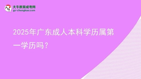 2025年廣東成人本科學(xué)歷屬第一學(xué)歷嗎？圖片