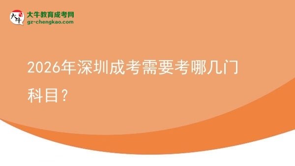 2026年深圳成考需要考哪幾門科目?圖片