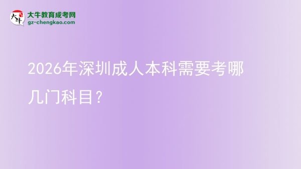2026年深圳成人本科需要考哪幾門科目？圖片